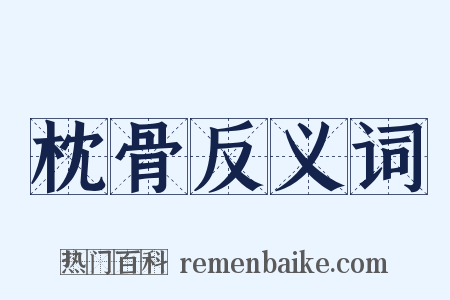 枕骨反义词是什么意思的图片